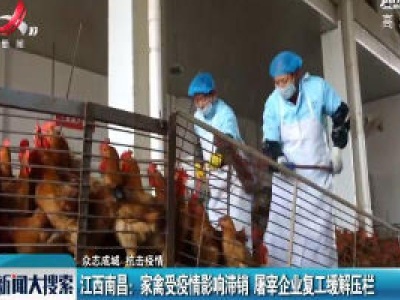 【众志成城 抗击疫情】江西南昌：家禽受疫情影响滞销 屠宰企业复工缓解压栏