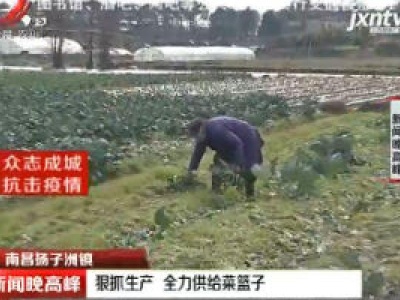 南昌扬子洲镇：狠抓生产 全力供给菜篮子