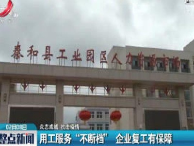 【众志成城 抗击疫情】用工服务“不断档” 企业复工有保障