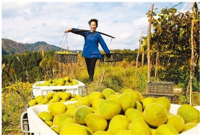 高质量打赢脱贫攻坚战