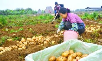 江西省出台18条措施助力农业农村经济稳增长