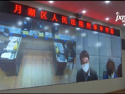 远程视频连线 江西鹰潭一法院宣判当地首例利用疫情虚假出售口罩诈骗案