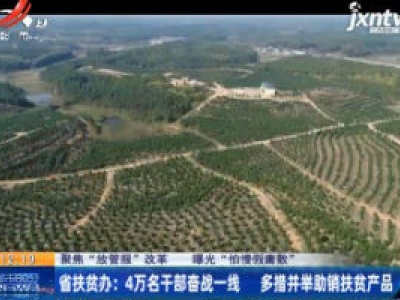 【聚焦“放管服”改革 曝光“怕慢假庸散”】省扶贫办：4万名干部奋战一线 多措并举助销扶贫产品