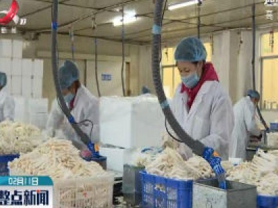 【众志成城 抗击疫情】安远：防疫复产两手抓