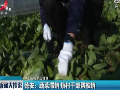 【众志成城 抗击疫情】德安：蔬菜滞销 镇村干部帮推销