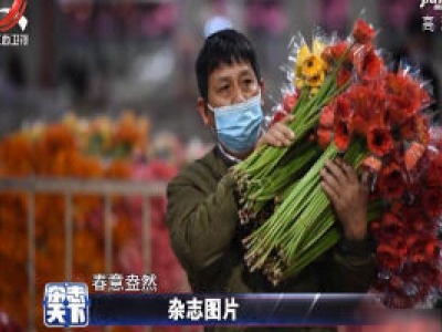 昆明斗南花卉交易市场正式恢复营业