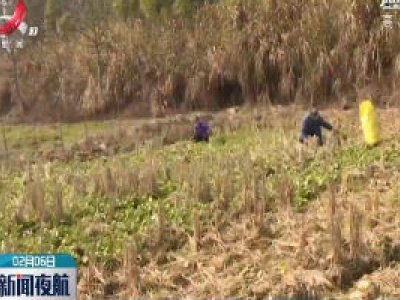 【众志成城 抗击疫情】疫情中的温暖：爱心接力 销售青菜