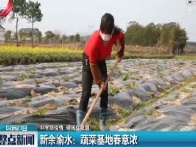 新余渝水：蔬菜基地春意浓