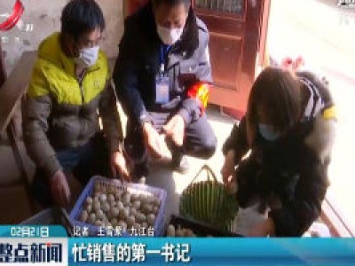 忙销售的第一书记
