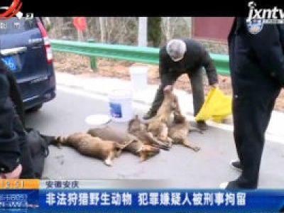 安徽安庆：非法狩猎野生动物 犯罪嫌疑人被刑事拘留