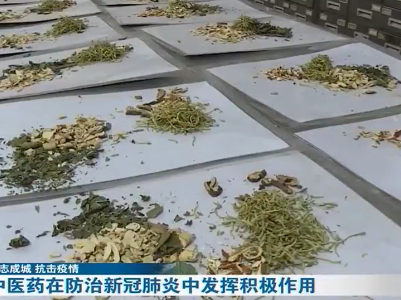 【众志成城 抗击疫情】中医药在防治新冠肺炎中发挥积极作用