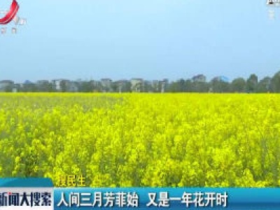 【搜民生】人间三月芳菲始 又是一年花开时