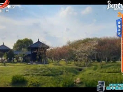 春暖花开—樱花谷里赏美景