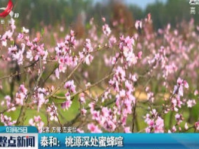 吉安泰和：桃源深处蜜蜂喧