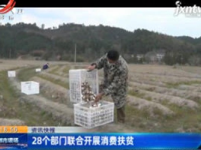 28个部门联合开展消费扶贫