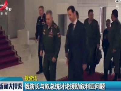 俄防长与叙总统讨论援助叙利亚问题