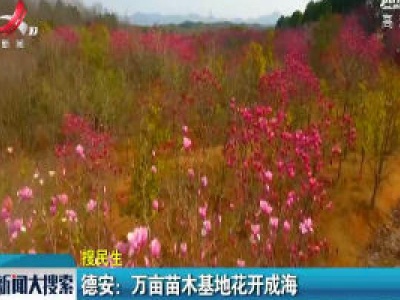 新闻大搜索20200311