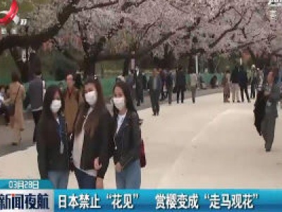 日本禁止“花见”  赏樱变成“走马观花”