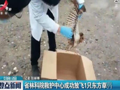 江西省林科院救护中心成功放飞1只东方草鸮
