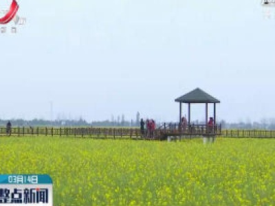 整点新闻20200314 10:00