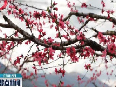 南昌艾溪湖瑶湖公园恢复开放