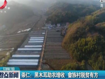 整点新闻20200327 10:00