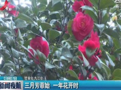三月芳菲始 一年花开时