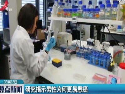 研究揭示男性为何更易患癌
