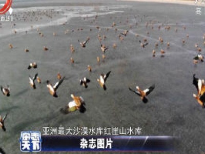 甘肃：冰雪消融 水库春色羡煞旁人