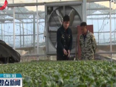 整点新闻20200313 10:00