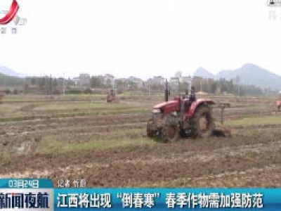 新闻夜航20200324