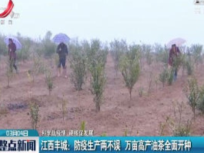 【科学战疫情 硬核促发展】江西丰城：防疫生产两不误 万亩高产油茶全面开种