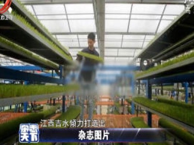 江西：智慧农业助力脱贫攻坚