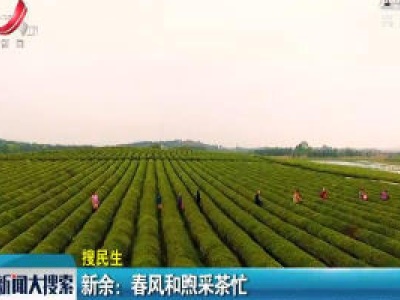 【搜民生】新余：春风和煦采茶忙