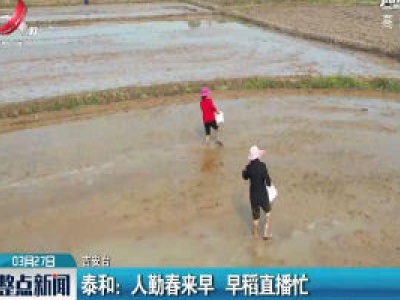 吉安泰和：人勤春来早 早稻直播忙