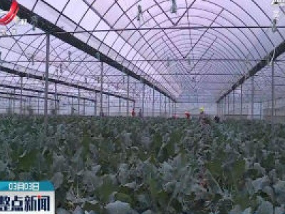 兴国：农技人员助力春耕