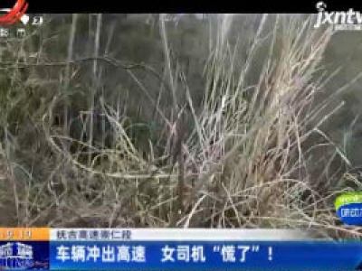 抚吉高速崇仁段：车辆冲出高速 女司机“慌了”！