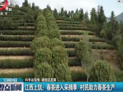 【科学战疫情 硬核促发展】江西上犹：春茶进入采摘季 村民助力春茶生产