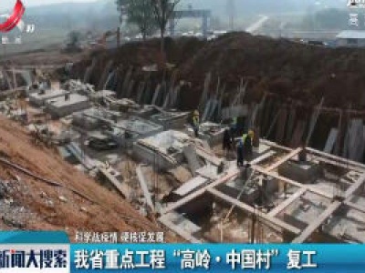 【科学战疫情 硬核促发展】我省重点工程“高岭·中国村”复工