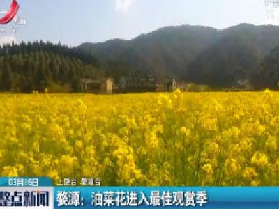整点新闻20200316 14:00