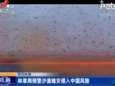 林草局预警沙漠蝗灾侵入中国风险