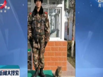 【搜新闻】甘肃 可爱小猫陪武警战士站岗