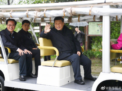 习近平考察杭州湿地保护利用和城市治理情况