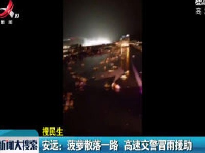 安远：菠萝散落一路 高速交警冒雨援助