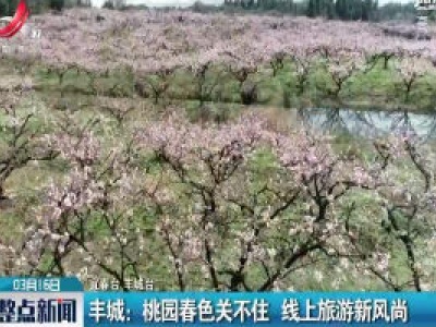 丰城：桃园春色关不住 线上旅游新风尚