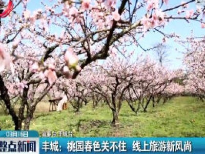 丰城：桃园春色关不住 线上旅游新风尚