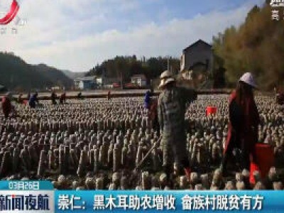 崇仁：黑木耳助农增收 畲族村脱贫有方