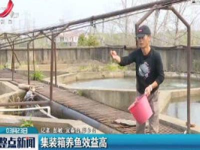 集装箱养鱼效益高