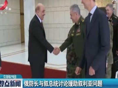 俄防长与叙总统讨论援助叙利亚问题