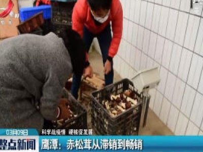 【科学战疫情 硬核促发展】鹰潭：赤松茸从滞销到畅销